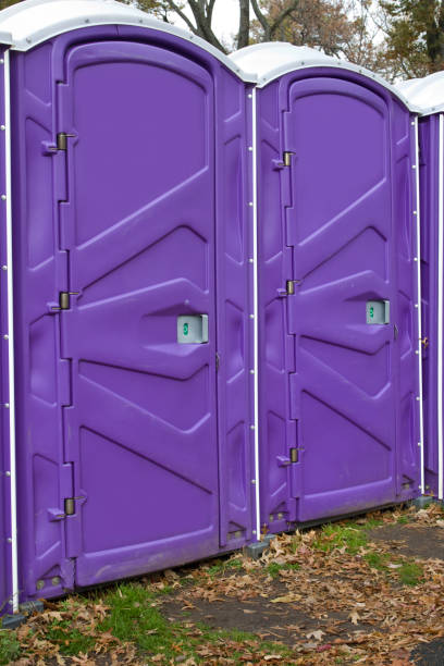 Types of Portable Toilets We Offer in Whitney Point, NY